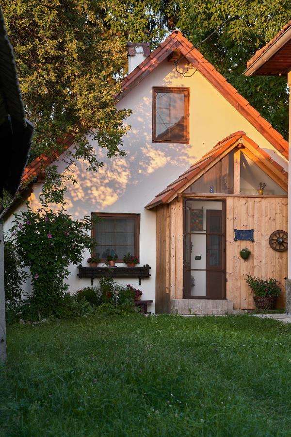 Walnut Tree Cottage Săcele Zewnętrze zdjęcie